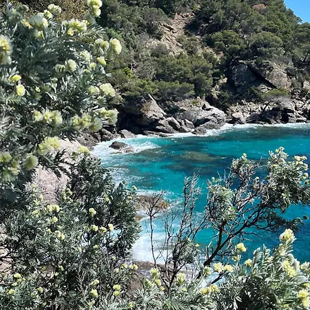 Grand Proche Avec Wifi