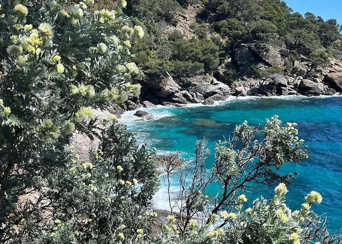 Grand Proche Avec Wifi